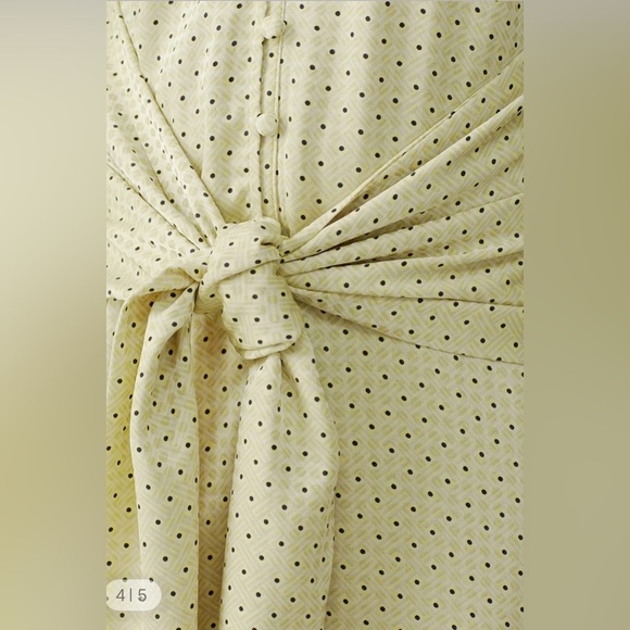 ANTHROPOLOGIE X LOVE, WHIT CITRON DOT  TIE WAIST MIDI DRESS - Picture 4 of 13